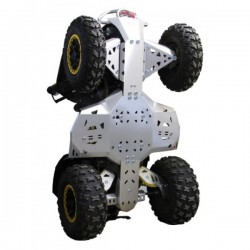 Protection - CanAm - Renegade 800R
