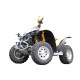Protection Sabot Central Marchepieds Trains Avant Arrière CanAm Renegade 500 G1 Renegade 800 G1