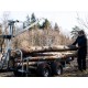 ATV SSV Timber Trailer