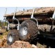 ATV SSV Timber Trailer