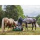 Drinking Watering Trough 55L for Trailer 91.1000